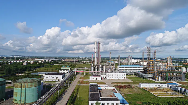 湖南雷達(dá)物位計(jì)出現(xiàn)誤差原因及解決方法